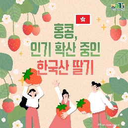 홍콩, 인기 확산 중인 한국산 딸기