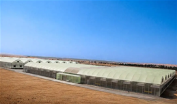 external_image