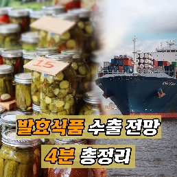 [카티백과사전] 발효식품 수출 전망 4분 총정리 
