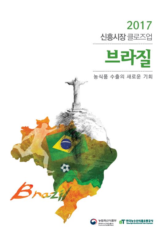 2017 신흥시장 클로즈업 브라질